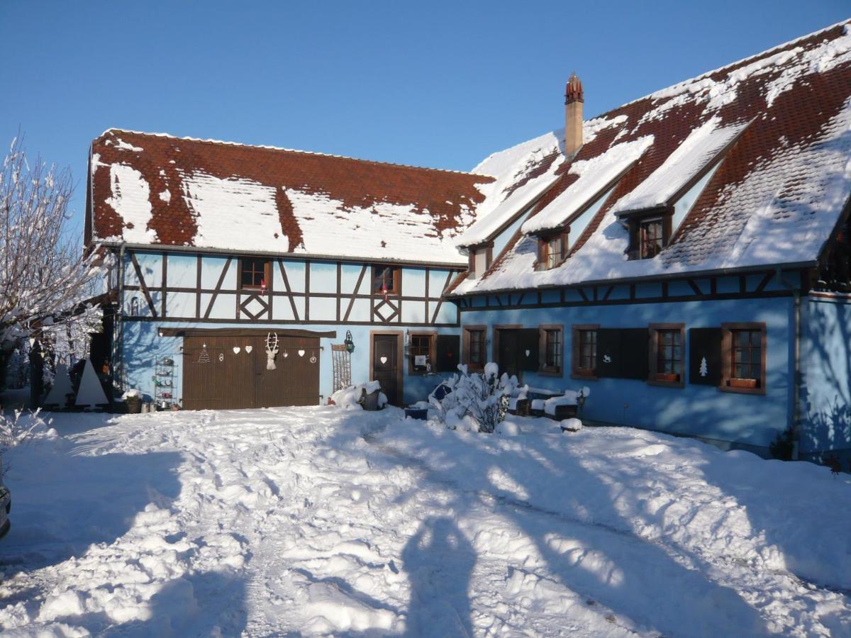Le Gite Bleu Willgottheim المظهر الخارجي الصورة
