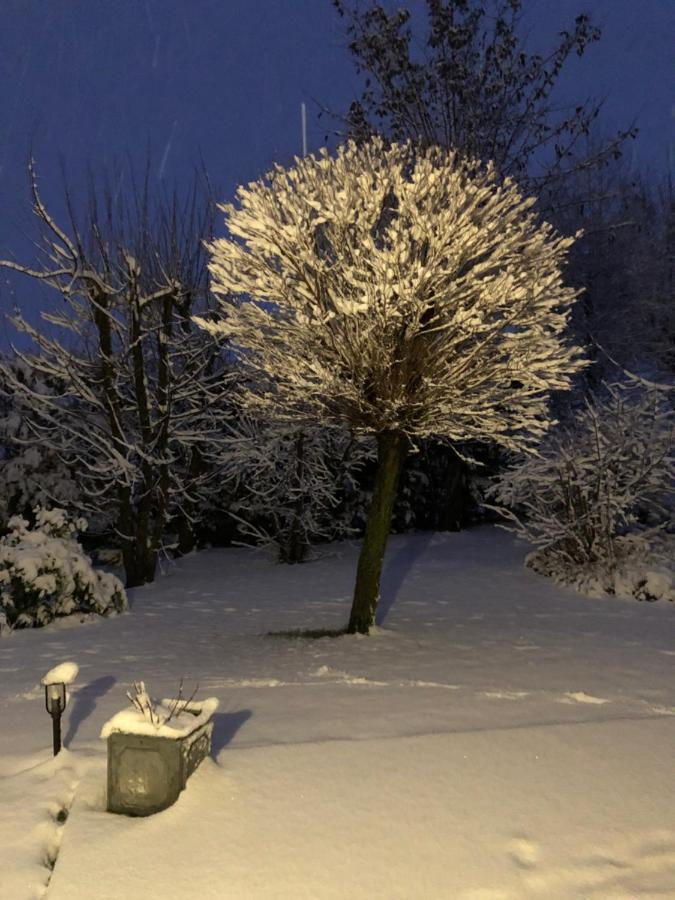Le Gite Bleu Willgottheim المظهر الخارجي الصورة
