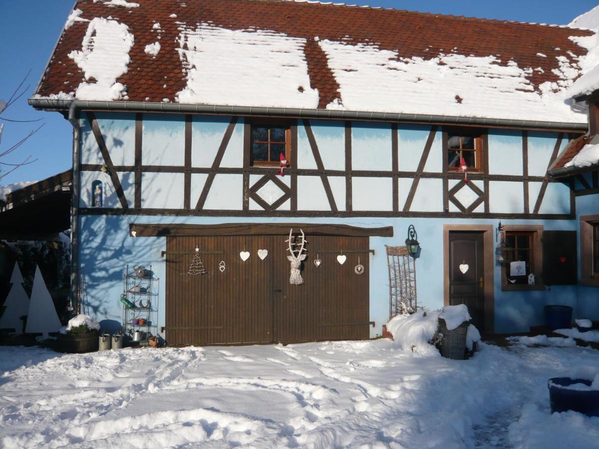 Le Gite Bleu Willgottheim المظهر الخارجي الصورة