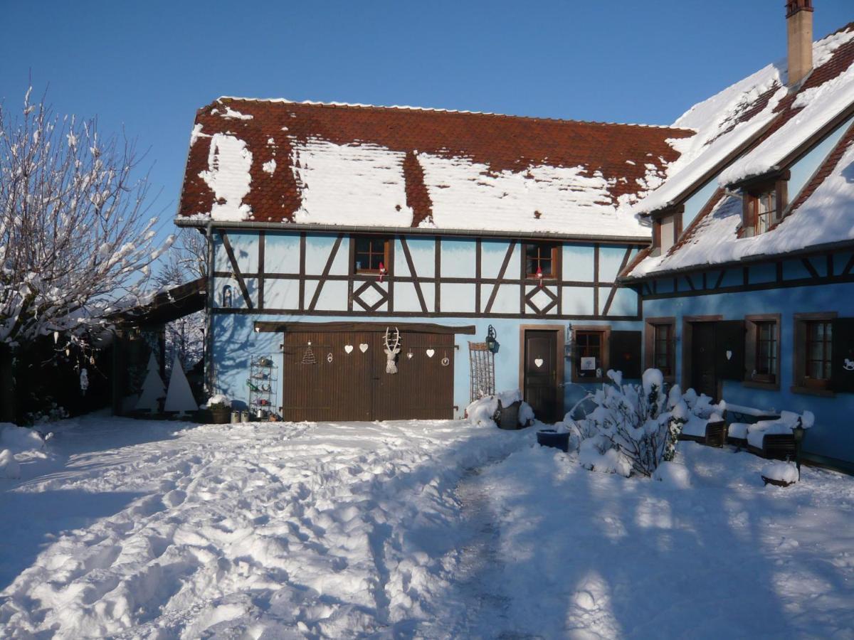 Le Gite Bleu Willgottheim المظهر الخارجي الصورة