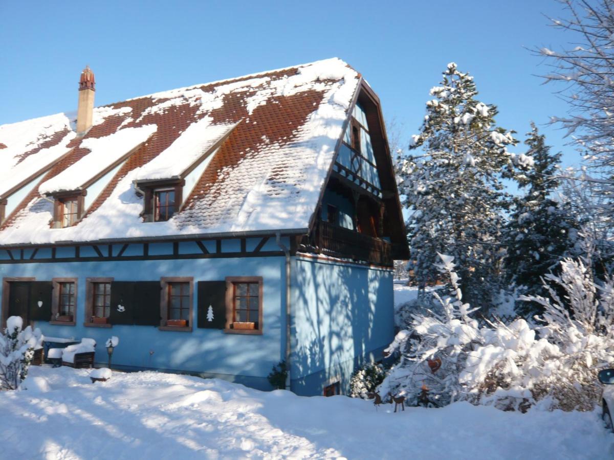 Le Gite Bleu Willgottheim المظهر الخارجي الصورة
