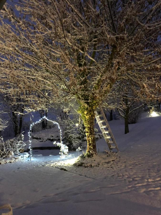 Le Gite Bleu Willgottheim المظهر الخارجي الصورة